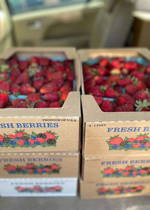 aichele-farms-berries